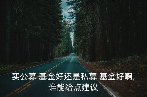 買(mǎi)公募 基金好還是私募 基金好啊,誰(shuí)能給點(diǎn)建議