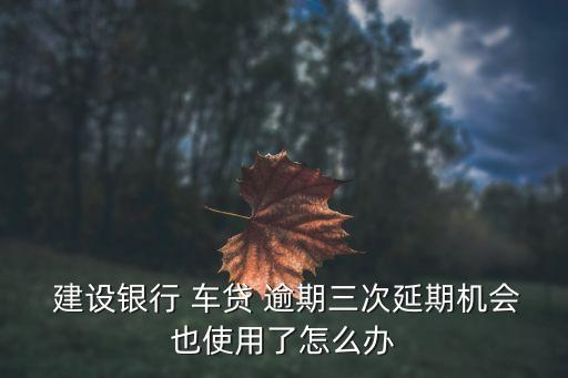  建設(shè)銀行 車(chē)貸 逾期三次延期機(jī)會(huì)也使用了怎么辦