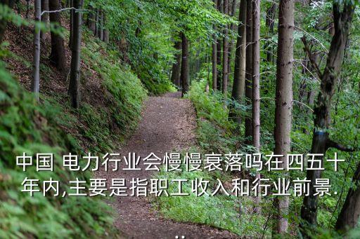 中國 電力行業(yè)會(huì)慢慢衰落嗎在四五十年內(nèi),主要是指職工收入和行業(yè)前景...