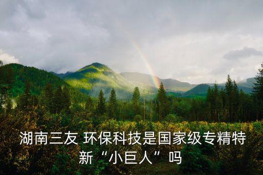  湖南三友 環(huán)?？萍际菄?guó)家級(jí)專(zhuān)精特新“小巨人”嗎