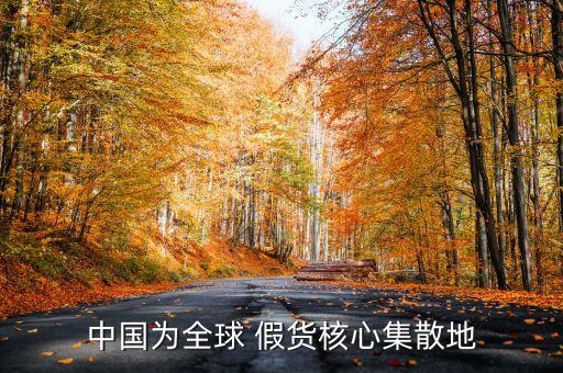 中國(guó)為全球 假貨核心集散地