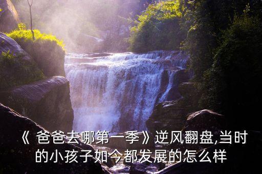 《 爸爸去哪第一季》逆風(fēng)翻盤(pán),當(dāng)時(shí)的小孩子如今都發(fā)展的怎么樣