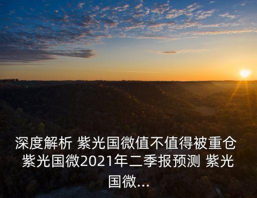 深度解析 紫光國微值不值得被重倉 紫光國微2021年二季報(bào)預(yù)測 紫光國微...
