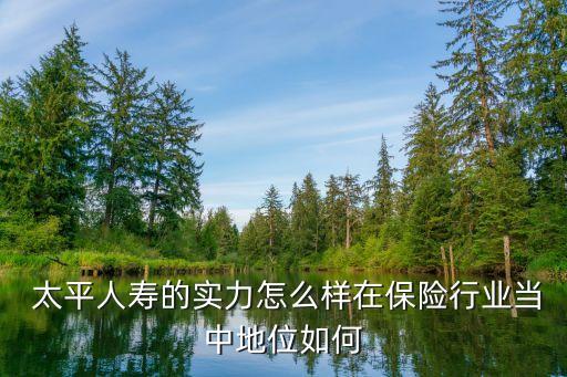 中國太平內涵價值