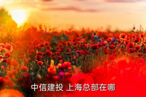 中信建投 上?？偛吭谀? class=
