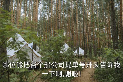 哪位能把各個船公司提單號開頭告訴我一下啊,謝啦!