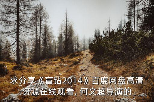 求分享《盲鉆2014》百度網(wǎng)盤(pán)高清資源在線觀看, 何文超導(dǎo)演的