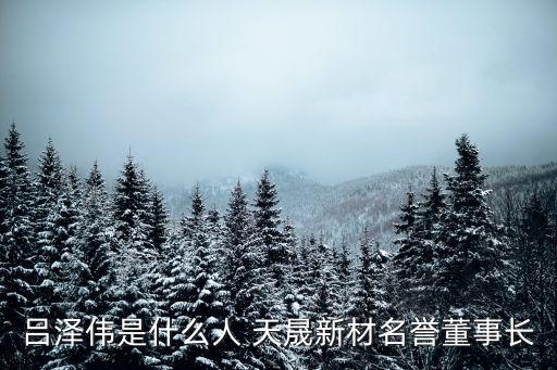 呂澤偉是什么人 天晟新材名譽董事長