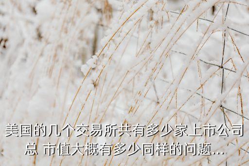 美國的幾個交易所共有多少家上市公司總 市值大概有多少同樣的問題...