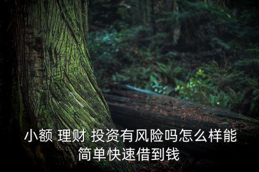  小額 理財(cái) 投資有風(fēng)險(xiǎn)嗎怎么樣能簡(jiǎn)單快速借到錢