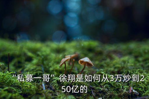 “私募一哥”徐翔是如何從3萬(wàn)炒到250億的