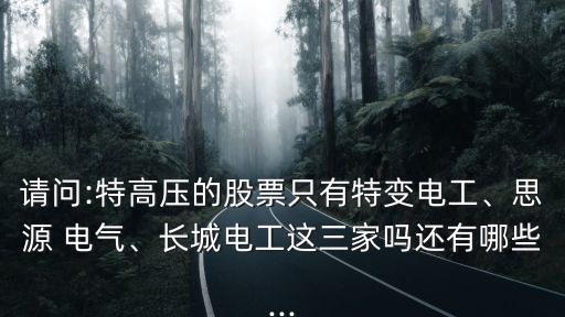 請(qǐng)問(wèn):特高壓的股票只有特變電工、思源 電氣、長(zhǎng)城電工這三家嗎還有哪些...
