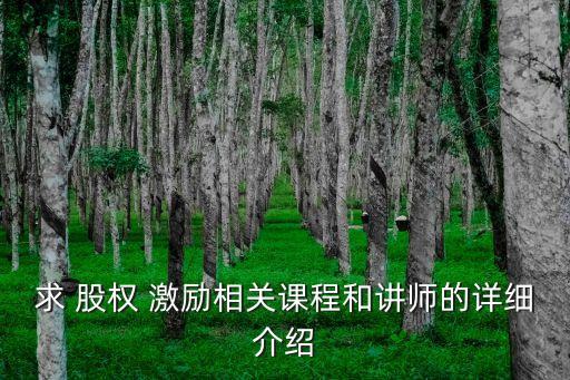 中國股權(quán)激勵(lì)第一人,中國軟件股權(quán)激勵(lì)公告