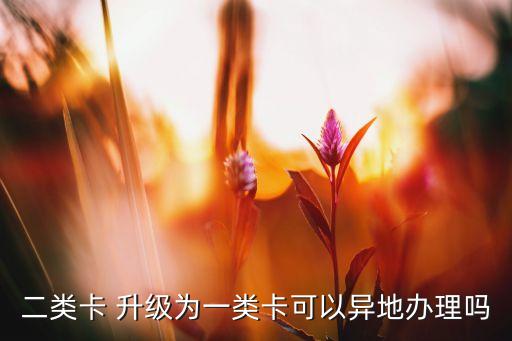 二類(lèi)卡 升級(jí)為一類(lèi)卡可以異地辦理嗎