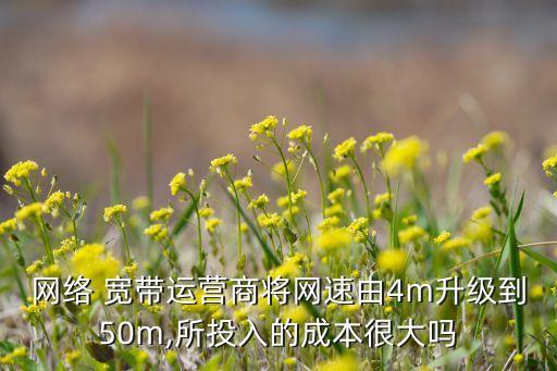 網(wǎng)絡(luò) 寬帶運(yùn)營商將網(wǎng)速由4m升級到50m,所投入的成本很大嗎