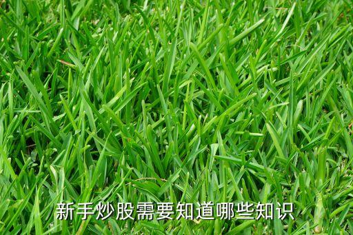 新手炒股需要知道哪些知識