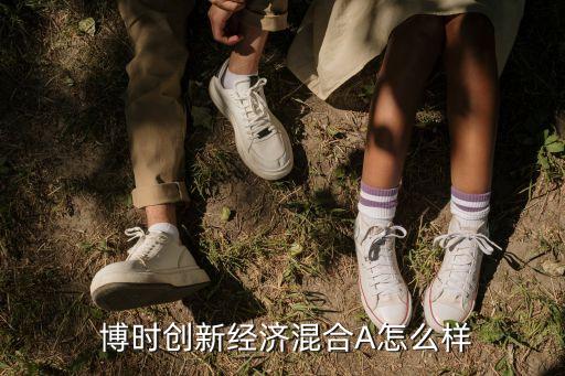  博時創(chuàng)新經(jīng)濟混合A怎么樣