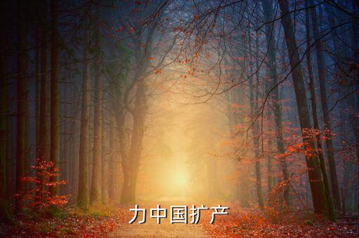 倍耐力中國擴(kuò)產(chǎn)
