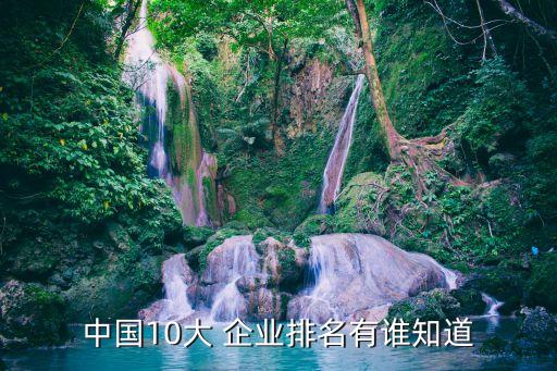 中國(guó)10大 企業(yè)排名有誰(shuí)知道