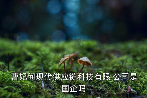  曹妃甸現代供應鏈科技有限 公司是國企嗎