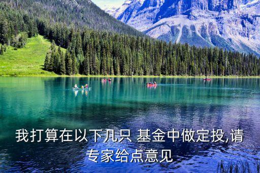 我打算在以下幾只 基金中做定投,請(qǐng)專家給點(diǎn)意見(jiàn)