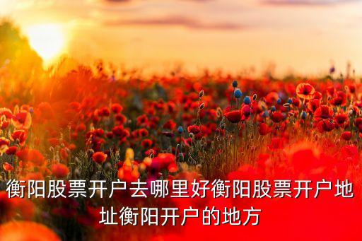 衡陽(yáng)股票開(kāi)戶(hù)去哪里好衡陽(yáng)股票開(kāi)戶(hù)地址衡陽(yáng)開(kāi)戶(hù)的地方