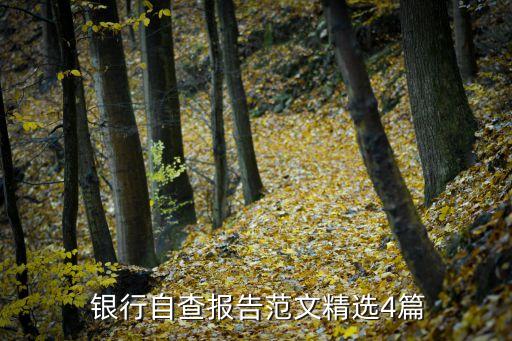 電子銀行業(yè)務(wù)檢查原則,金融機構(gòu)開展電子銀行業(yè)務(wù)的原則不包括
