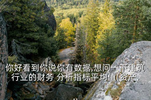你好看到你說你有數(shù)據(jù),想問一下建筑行業(yè)的財(cái)務(wù) 分析指標(biāo)平均值(資產(chǎn)...