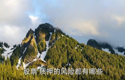  股票 質(zhì)押的風險都有哪些