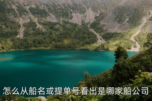 怎么從船名或提單號看出是哪家船公司