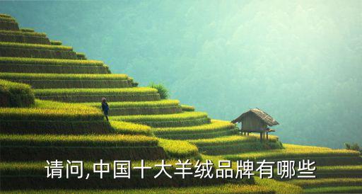 請(qǐng)問(wèn),中國(guó)十大羊絨品牌有哪些