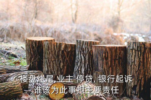  樓盤爛尾,業(yè)主 停貸, 銀行起訴,誰該為此事擔主要責任