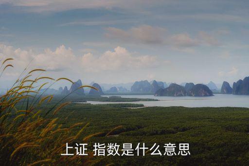  上證 指數(shù)是什么意思