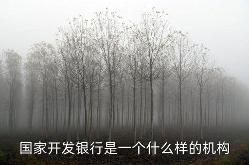 國家開發(fā)銀行是一個(gè)什么樣的機(jī)構(gòu)