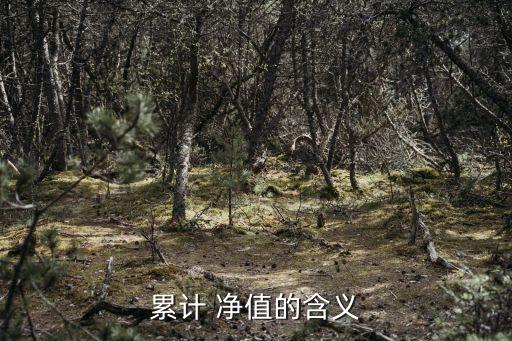 累計(jì) 凈值的含義