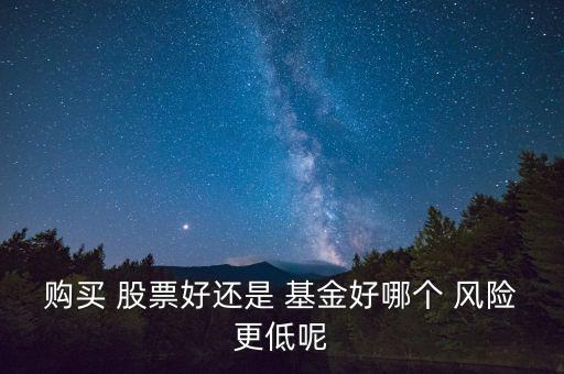 購買 股票好還是 基金好哪個 風險更低呢
