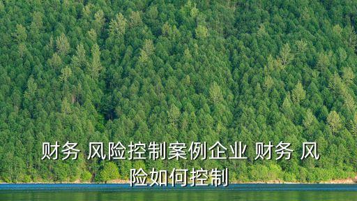 上市公司財務(wù)風險預(yù)警,存在財務(wù)風險的上市公司
