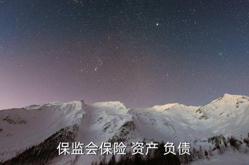保監(jiān)會保險(xiǎn) 資產(chǎn) 負(fù)債