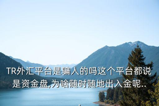 TR外匯平臺是騙人的嗎這個(gè)平臺都說是資金盤,為啥隨時(shí)隨地出入金呢...