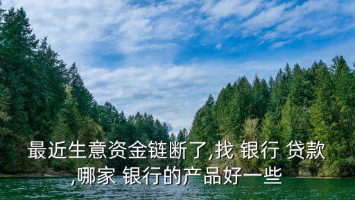 最近生意資金鏈斷了,找 銀行 貸款,哪家 銀行的產品好一些
