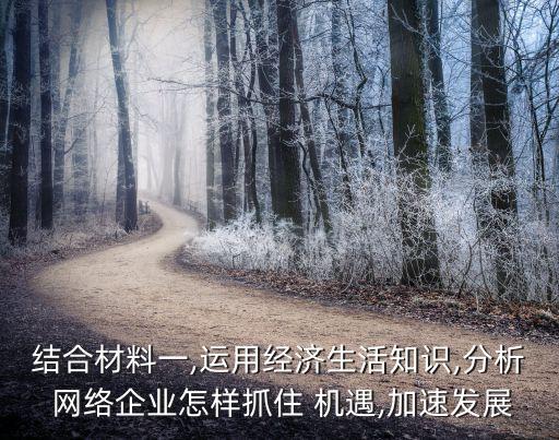 結(jié)合材料一,運用經(jīng)濟生活知識,分析 網(wǎng)絡(luò)企業(yè)怎樣抓住 機遇,加速發(fā)展