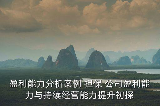 盈利能力分析案例 擔保 公司盈利能力與持續(xù)經(jīng)營能力提升初探