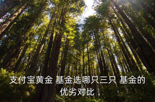 支付寶黃金 基金選哪只三只 基金的優(yōu)劣對比
