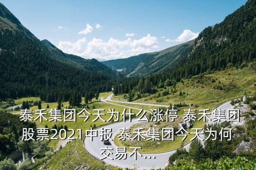 泰禾集團(tuán)最新關(guān)于股東股權(quán)質(zhì)押