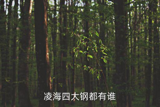 中國四大鋼鐵集團(tuán),全國鋼廠100強排名
