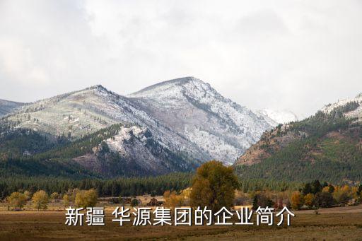華源創(chuàng)業(yè)進出口貿(mào)易有限公司,西安啟瑞華源創(chuàng)業(yè)孵化器有限公司