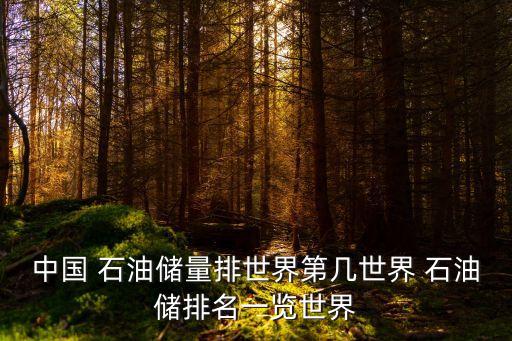 中國(guó) 石油儲(chǔ)量排世界第幾世界 石油儲(chǔ)排名一覽世界