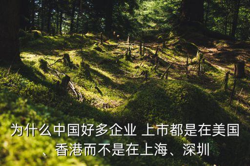 為什么中國好多企業(yè) 上市都是在美國、香港而不是在上海、深圳