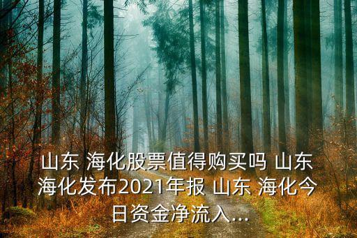  山東 ?；善敝档觅徺I嗎 山東 ?；l(fā)布2021年報(bào) 山東 ?；袢召Y金凈流入...