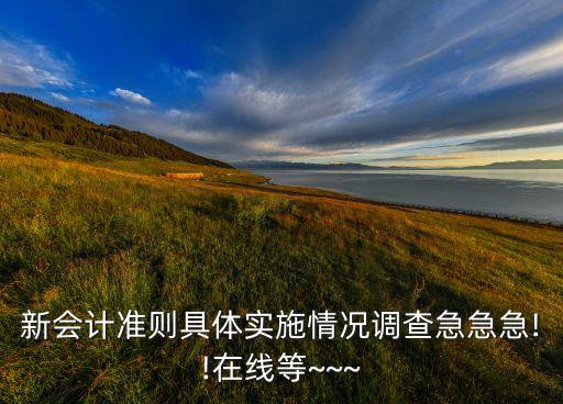 新會(huì)計(jì)準(zhǔn)則具體實(shí)施情況調(diào)查急急急!!在線等~~~
